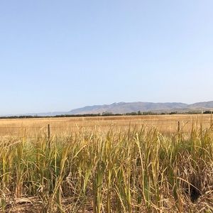 Meet your Posher, Todd